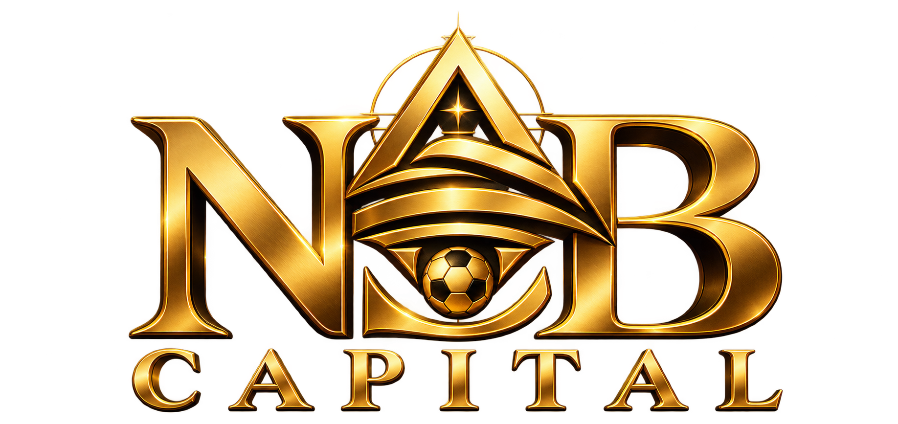 Emblème NSB Capital